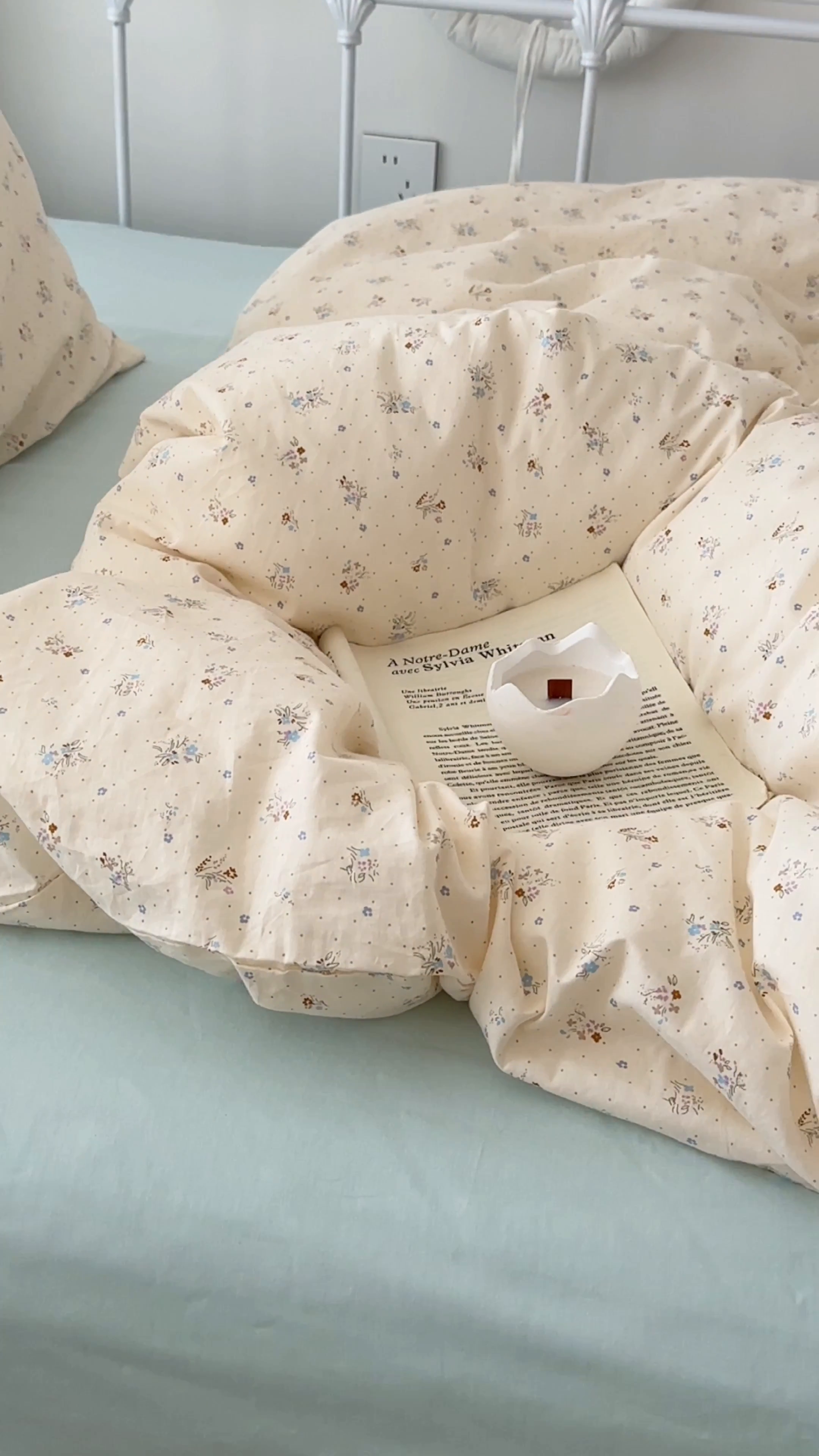 91家纺网 家纺一手货源 找家纺 尺素 2024新款韩国ins风全棉印花四件套田园花卉双人碎花被套学生宿舍1.2三件套纯色加大床单1.8床笠 露华浓（冰沙绿）