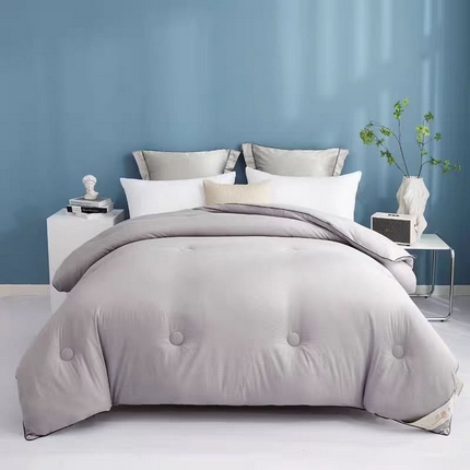 暖阁 2025新款亲肤压泡豆豆羽丝被冬被春秋被被子被芯 优雅灰