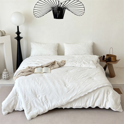 91家纺网 家纺一手货源 找家纺 （总）佰织鑫家居 2024新款大豆子母被