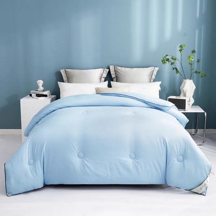 91家纺网 家纺一手货源 找家纺 暖阁 2025新款亲肤压泡豆豆羽丝被冬被春秋被被子被芯 高级蓝