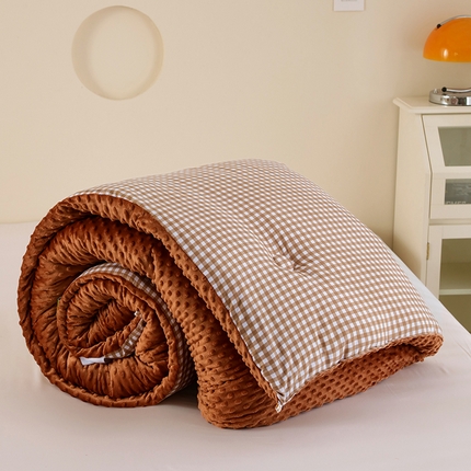 （买家秀 不断货）A类母婴级儿童豆豆绒大豆被春秋被冬被大豆纤维被子被芯空调被豆豆被水洗棉双层纱豆豆绒 克洛迪雅-浅咖