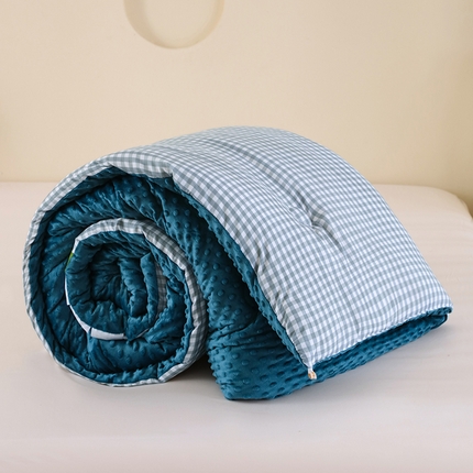 （买家秀 不断货）A类母婴级儿童豆豆绒大豆被春秋被冬被大豆纤维被子被芯空调被豆豆被水洗棉双层纱豆豆绒 克洛迪雅-蓝