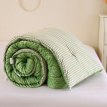 （买家秀 不断货）A类母婴级儿童豆豆绒大豆被春秋被冬被大豆纤维被子被芯空调被豆豆被水洗棉双层纱豆豆绒 克洛迪雅-绿