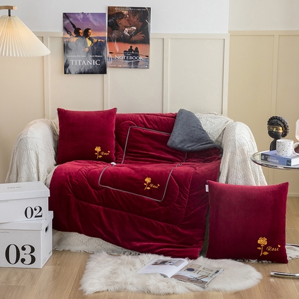 雷人家纺 2021新款宝宝绒保暖加厚双拼绣花抱枕被 玫瑰洋酒红