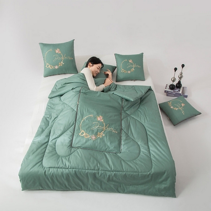 91家纺网 家纺一手货源 找家纺 （总）雷人家纺 2023新款全棉喷气13*72刺绣抱枕被