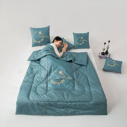 91家纺网 家纺一手货源 找家纺 （总）雷人家纺 2023新款全棉喷气13*72刺绣抱枕被