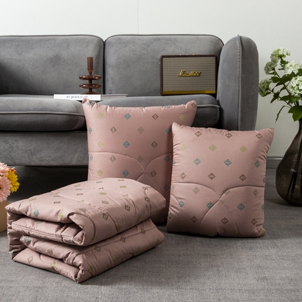 91家纺网 家纺一手货源 找家纺 （总）雷人家纺 2022新款全棉13376彩印印花烫金抱枕被