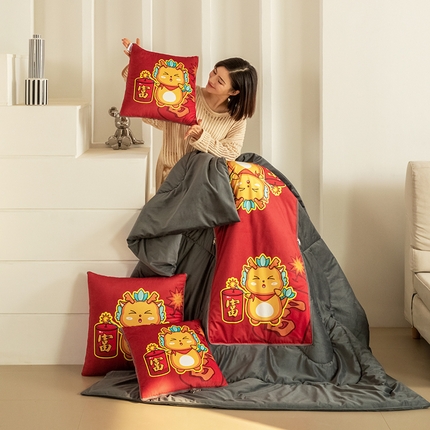 91家纺网 家纺一手货源 找家纺 （总）雷人家纺 2024新款多功能印花宝宝绒抱枕被