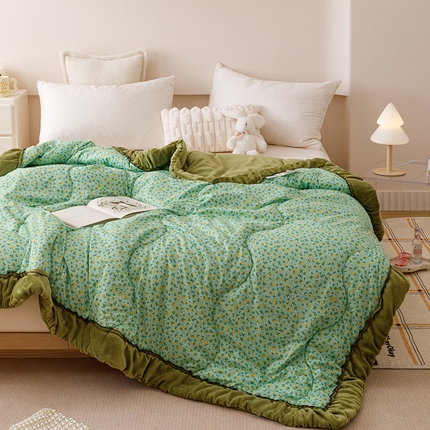 悦兴家纺 2024新款冬季韩式法式花边加厚保暖一体被加绒被子冬被春秋被机洗-花边皱皱被（含买家秀） 绿野仙踪