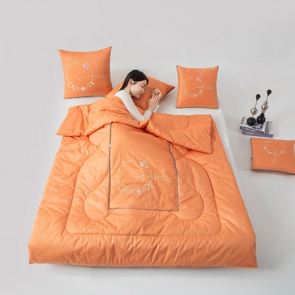 91家纺网 家纺一手货源 找家纺 （总）雷人家纺 2023新款全棉喷气13*72刺绣抱枕被