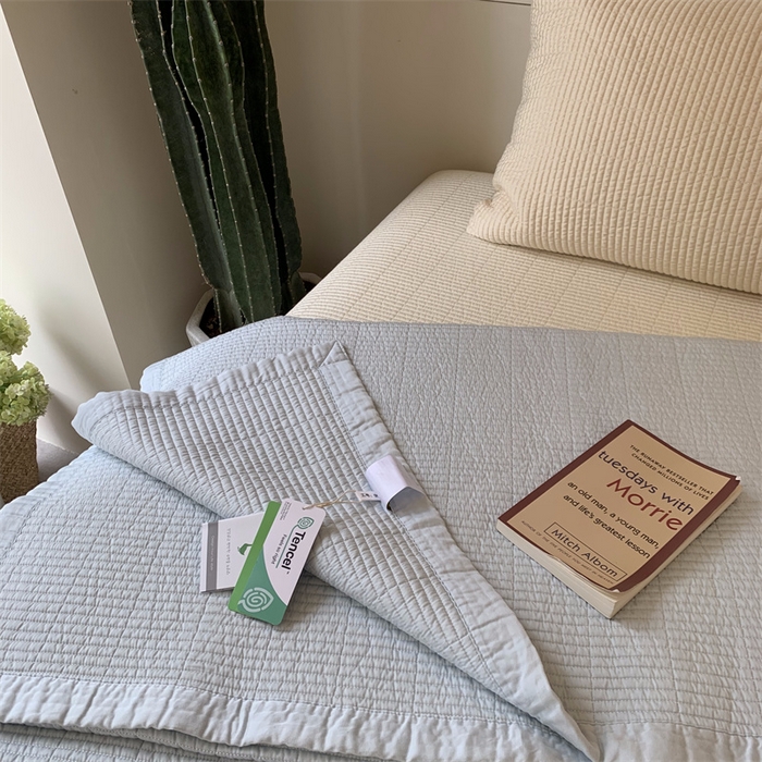 91家纺网 家纺一手货源 找家纺 汇庭 2025新款赫本系列床盖三件套-实拍 微风兰