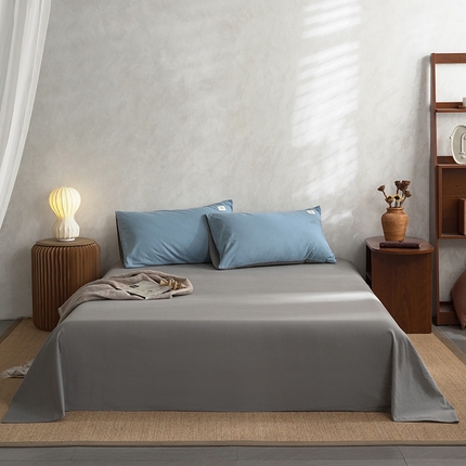 雅居纺家纺 2025新款全棉素色水洗棉单床单 绅士灰