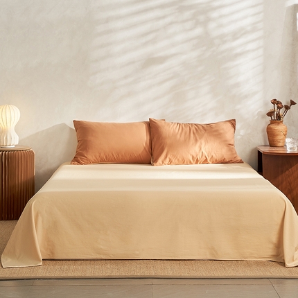 雅居纺家纺 2025新款全棉素色水洗棉单床单 咖啡