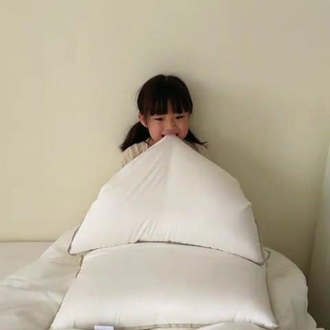 91家纺网 家纺一手货源 找家纺 （总）轻奢云感大豆舒睡枕儿童学生幼儿园枕芯枕头低枕软枕