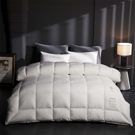 91家纺网 家纺一手货源 找家纺 织梦人羽绒工厂店 2024新款新国标50绒羽绒被-银丝 银丝白