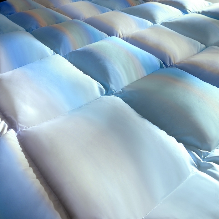 91家纺网 家纺一手货源 找家纺 织梦人羽绒工厂店 2024新款新国标50绒云柔棉柔赛丝数码印花被子 彩梦蓝