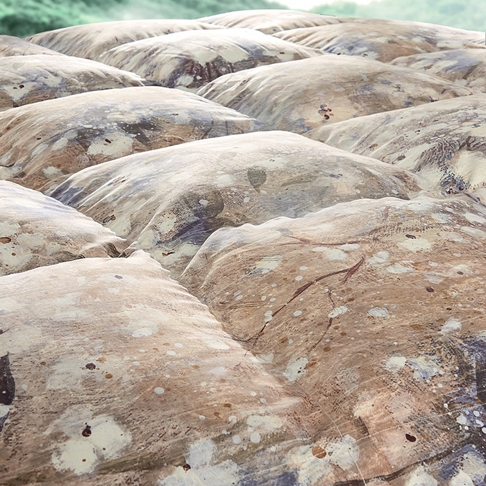 91家纺网 家纺一手货源 找家纺 织梦人羽绒工厂店 2024新款新国标50绒云柔棉柔赛丝数码印花被子 暖寐