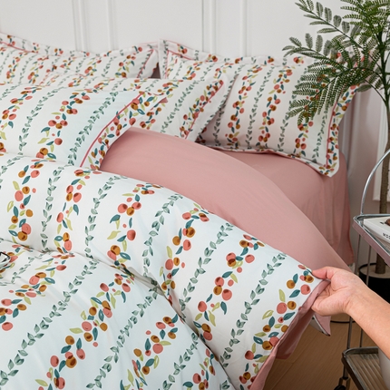 雅慕家居 2025新款A类碎花水润棉磨毛四件套 果果乐园