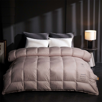 91家纺网 家纺一手货源 找家纺 织梦人羽绒工厂店 2024新款新国标50绒羽绒被-银丝 银丝豆沙