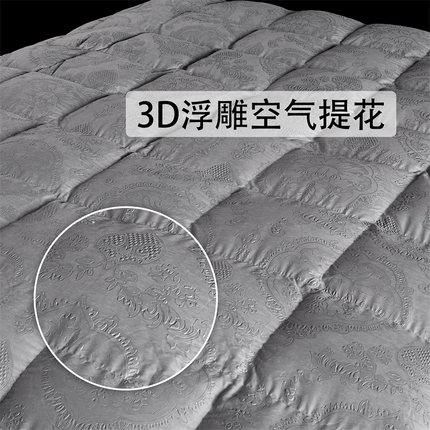 91家纺网 家纺一手货源 找家纺 （总）织梦人羽绒工厂店 2024新款新国标50绒糯棉空气提花羽绒被