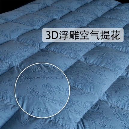 91家纺网 家纺一手货源 找家纺 （总）织梦人羽绒工厂店 2024新款新国标50绒糯棉空气提花羽绒被