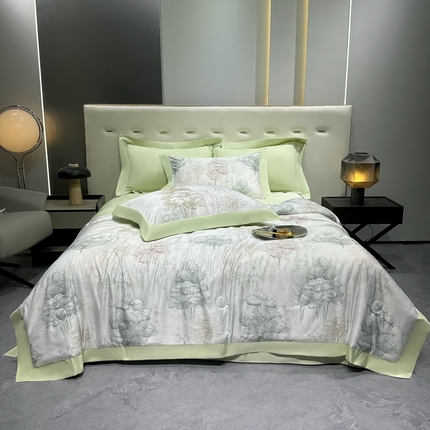 2025新款A类凉感水洗冰丝夏被四件套轻奢时尚 夏被-时空骑士