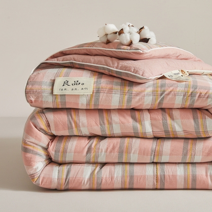梦初语 2025新款四季款良品棉花被子家用被芯 温馨格