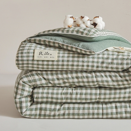 梦初语 2025新款四季款良品棉花被子家用被芯 绿小格