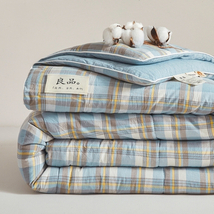 梦初语 2025新款四季款良品棉花被子家用被芯 绅士格