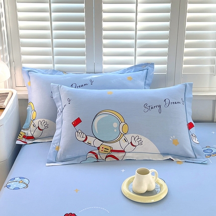 金鑫汇家纺 2025新款超好卖全棉单枕套 翱翔太空