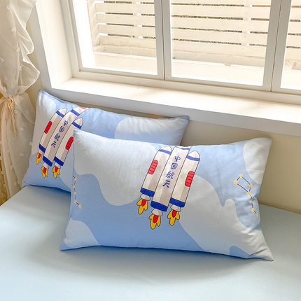 91家纺网 家纺一手货源 找家纺 （总）2023-2024新款13070全棉好卖花型套件系列-单枕套