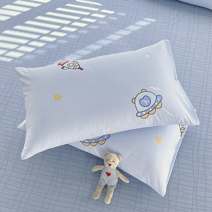 91家纺网 家纺一手货源 找家纺 （总）2023-2024新款13070全棉好卖花型套件系列-单枕套