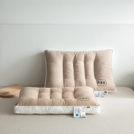（总）萌番宝 2025新款荞麦皮枕头护颈椎助睡眠专用单人学生宿舍枕芯一只装家用