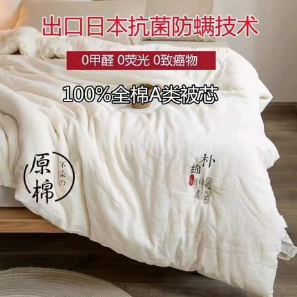 91家纺网 家纺一手货源 找家纺 （总）芯丝路枕业 2025新款原棉大豆子母被