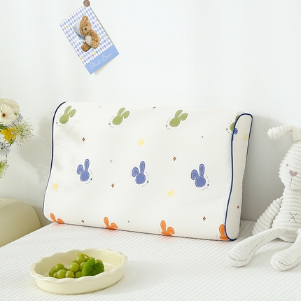 91家纺网 家纺一手货源 找家纺 （总）良佐生活 2025春夏新款儿童学生天丝水洗棉乳胶枕套成人记忆枕枕头套