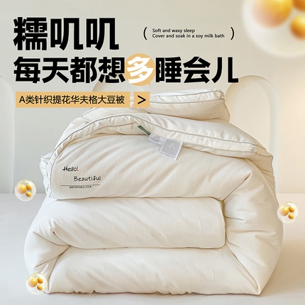 91家纺网 家纺一手货源 找家纺 （总）（买家秀 爆款花色不断货）A类母婴级针织棉提花大豆被子春秋冬被大豆纤维被华夫格大豆被子水洗棉-场景二