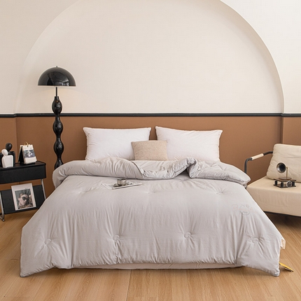 睡棉坊 2025新款A类银融棉大豆被水洗棉春秋被加厚冬被正宗10%大豆被带质检报告 灰色