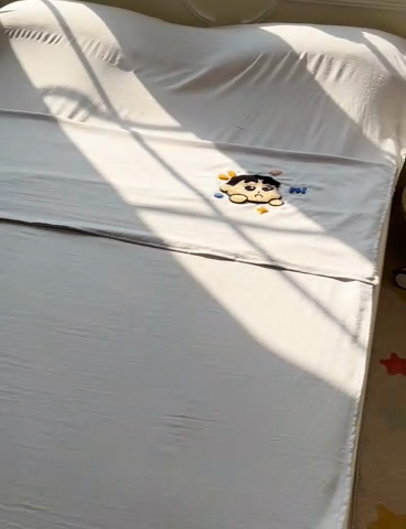 91家纺网 家纺一手货源 找家纺 柒星睡袋 2025新款a类水洗毛巾绣一次性隔脏睡袋 小新浅灰