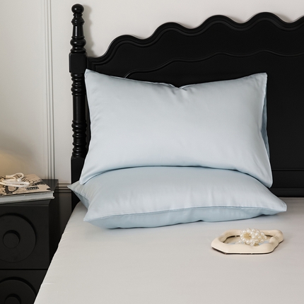 EH家居 2025春夏天丝纯色单枕套 冰山蓝+天水蓝
