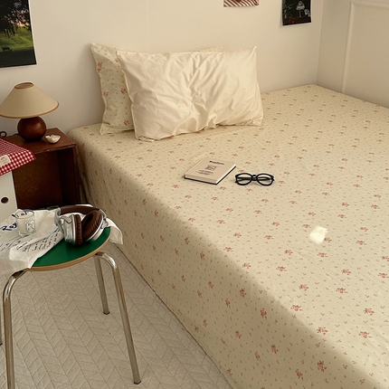 尺素 2025新款ins风小红书系列单床单 清如