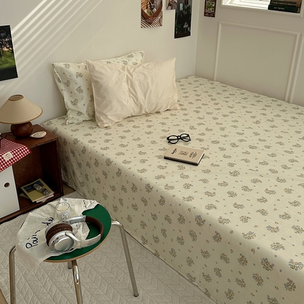 尺素 2025新款ins风小红书系列单床单 清白之年