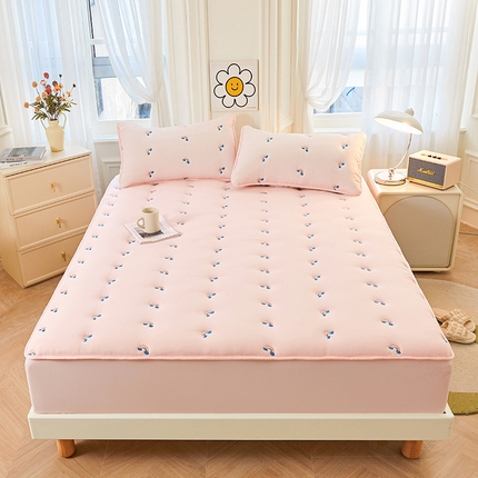 91家纺网 家纺一手货源 找家纺 （总）兄弟坊 2025新款亲肤原棉刺绣床垫床护垫学生床垫床笠