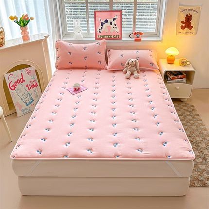 91家纺网 家纺一手货源 找家纺 （总）兄弟坊 2025新款亲肤原棉刺绣床垫床护垫学生床垫床笠