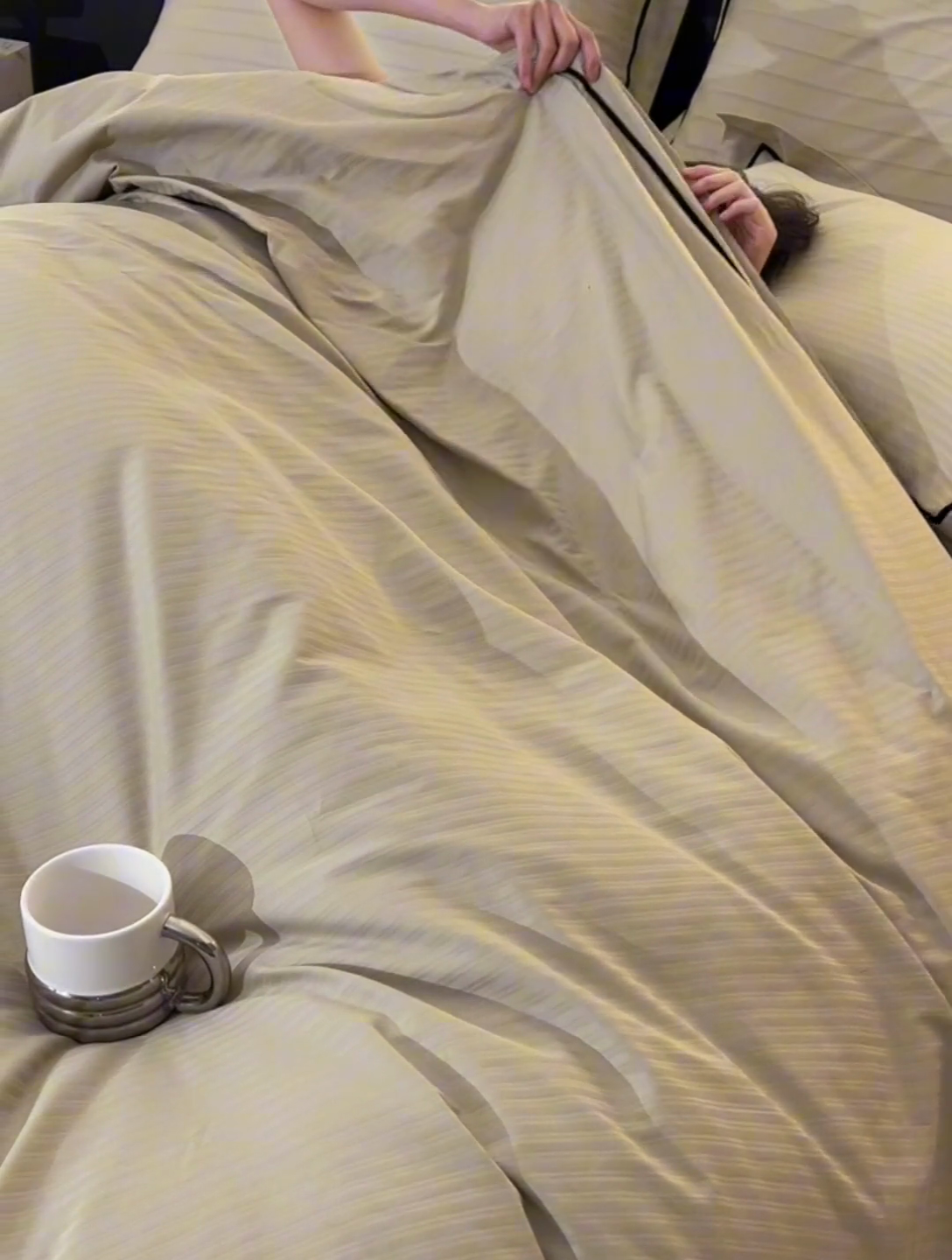 91家纺网 家纺一手货源 找家纺 （总）三朵全棉60S贡缎长绒棉大提花四件套-格趣系列