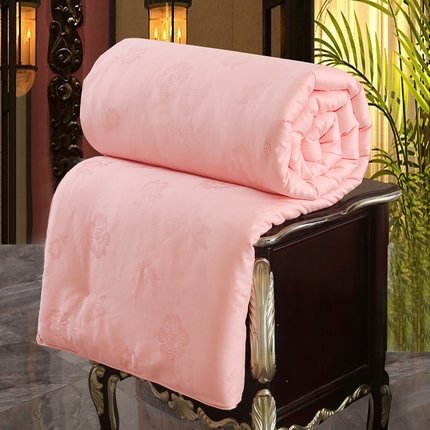 91家纺网 家纺一手货源 找家纺 （总）安逸恋 2025新款100s纯棉提花桑蚕丝被