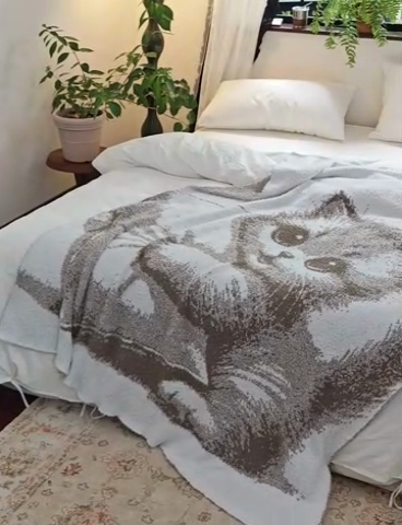 91家纺网 家纺一手货源 找家纺 （总）暖绵绵 2025新款半边绒毛毯-维奥