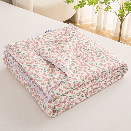 首爱小清新印花里外全棉夏被纱布夏被纯棉夏被棉花被夏凉被空调被子儿童夏被 春分