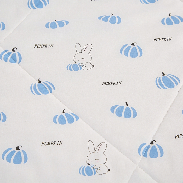 91家纺网 家纺一手货源 找家纺 首爱小清新印花里外全棉夏被纱布夏被纯棉夏被棉花被夏凉被空调被子儿童夏被 蓝小兔