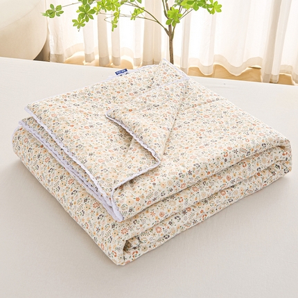 首爱小清新印花里外全棉夏被纱布夏被纯棉夏被棉花被夏凉被空调被子儿童夏被 芒种