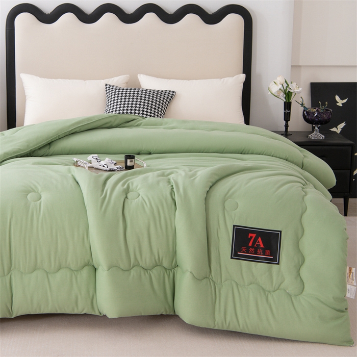 91家纺网 家纺一手货源 找家纺 瑶瑶家居床垫 2025新款7A抗菌被大豆被子被芯（黑标7A） 黑标7A-绿